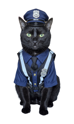 Officer Buddy on patrol